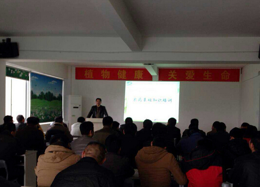 植?；A(chǔ)知識培訓