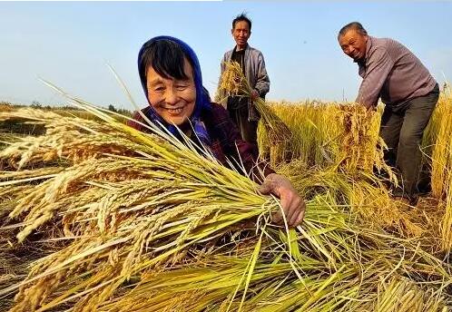 重磅！繼包產(chǎn)到戶之后，我國農(nóng)村又一次迎來重大改革